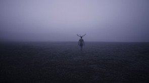 Deer Boy
