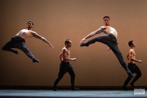 Dream, Compagnie Julien Lestel