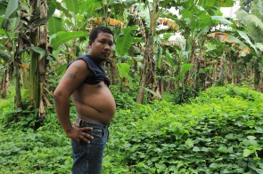 Tales from the Organ Trade