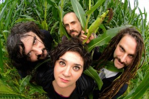 Zea Mays