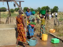 Cooperar para transformar