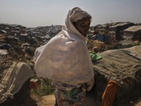 The Rohingya exodus