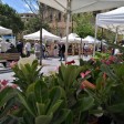 feria-de-plantas-y-flores