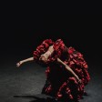 En la cuerda floja, Ana Morales