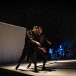 Cóncavo Convexo, Led Silhouette 