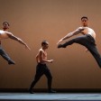 Dream, Compagnie Julien Lestel