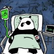 Pandy