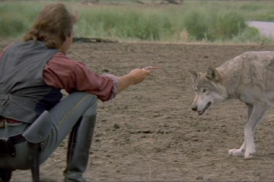 Dances with Wolves