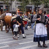 Buey llevando un carro con una kupela en Donostia y trikitilaris.