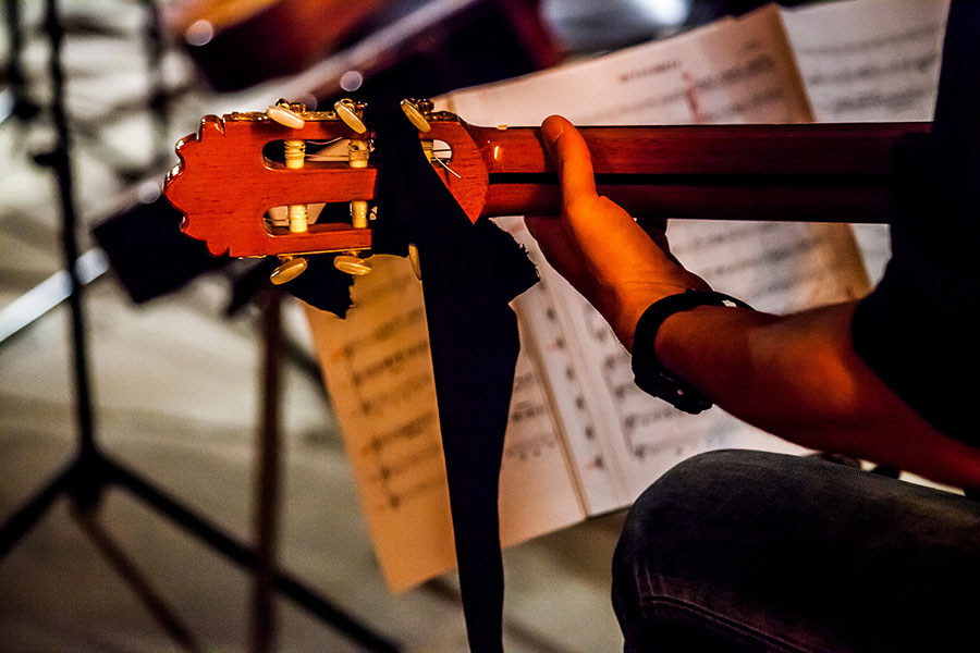 Gitarra baten xehetasuna kontzertu batean