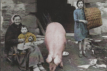 Detalle de la portada del libro El cerdo en la historia de los vascos