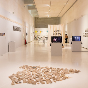 Imagen de la exposición Bosques de memoria