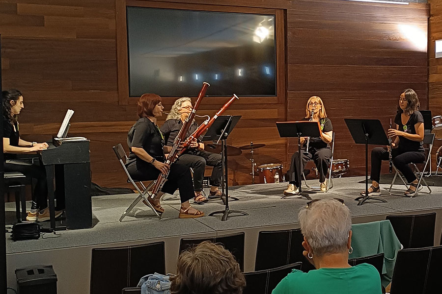Un grupo de cámara en un concierto