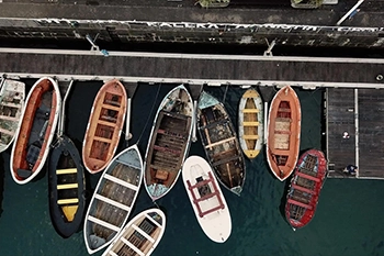 Antzarra zerumugan