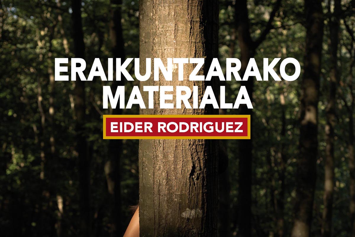 Eider Rodriguezen Eraikuntzarako materiala liburuaren azalaren zati bat