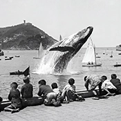 Imagen generada con IA donde unos niños miran a una ballena saltando en la bahía de la concha