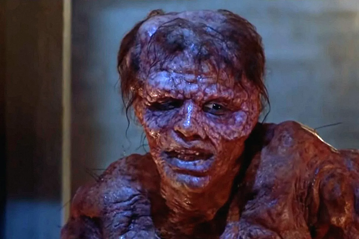The Fly