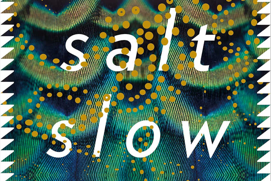 Salt Slow liburuaren azala