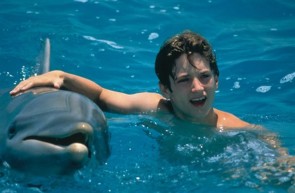 Flipper