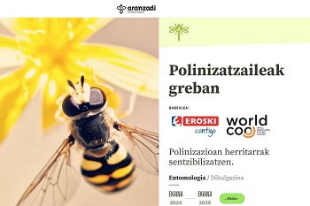 Erakusketaren afixa