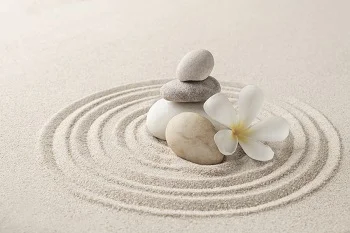mindfulness avanzado ikastaroa