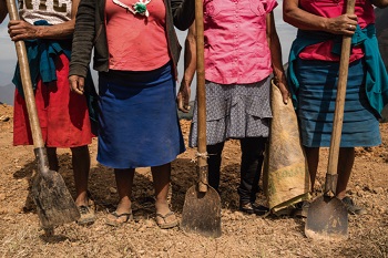 Mujeres rurales trabajando