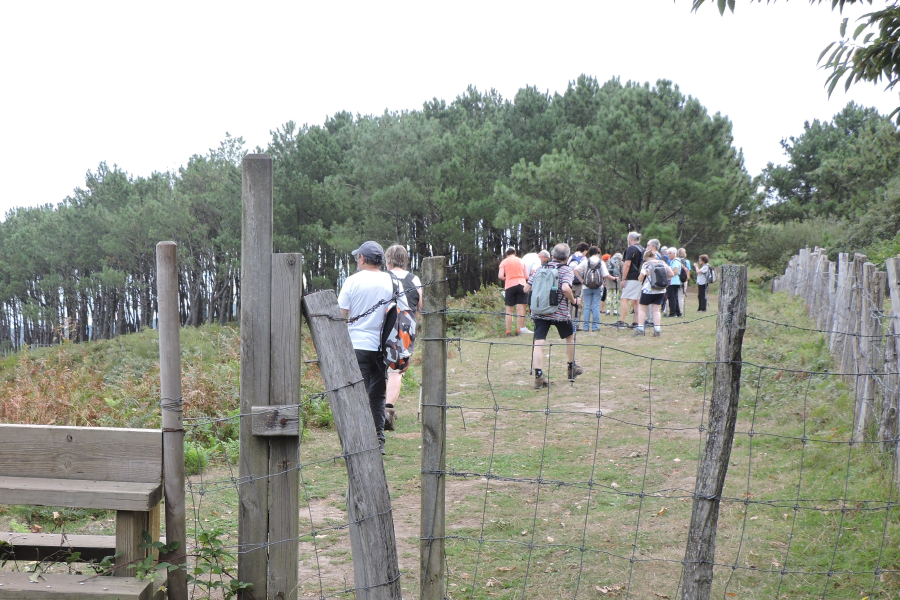 grupo de personas disfrutando del monte y de la naturaleza