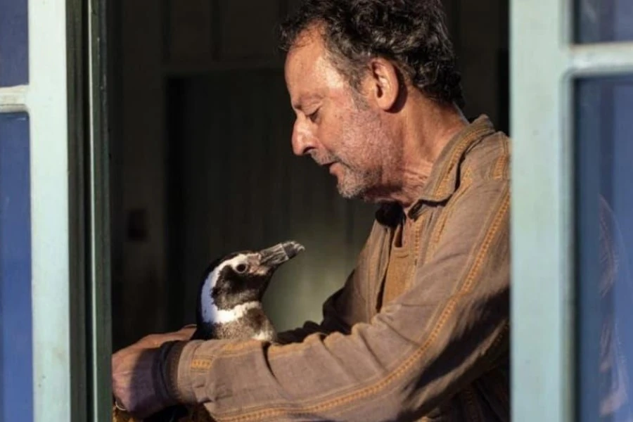 Un fotograma de la película Mi amigo el pingüino