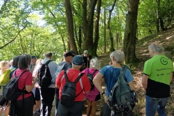 Caminos desde Altza