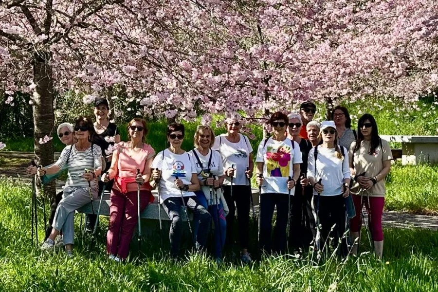 grupo de marcha nordica