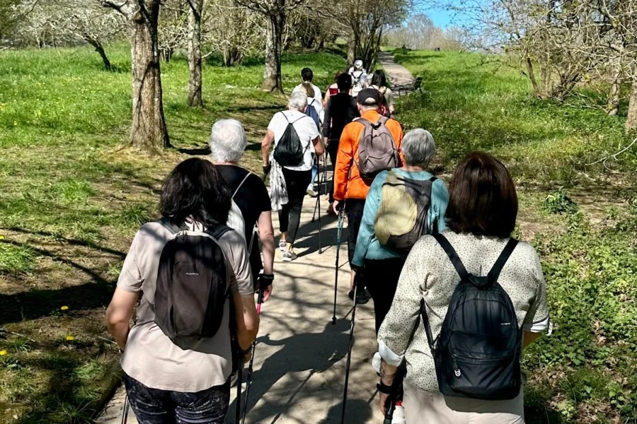 grupo de marcha nordica