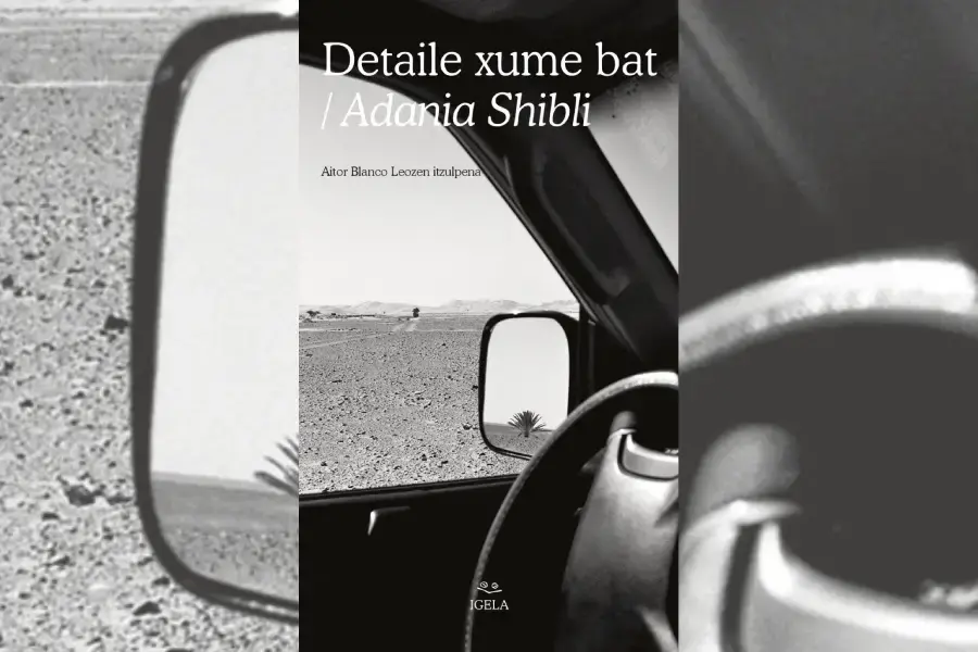 Portada del libro Detaile xume bat