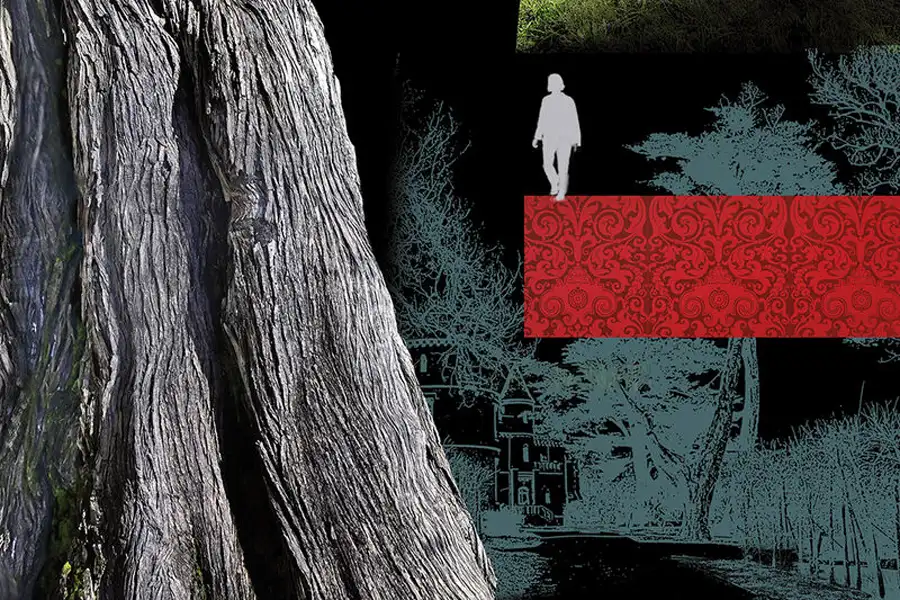 Portada del libro Locura de Maite Virto