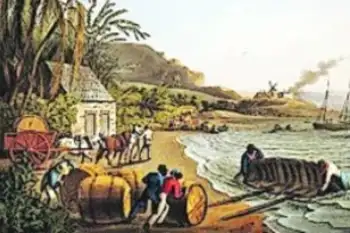 azúcar, quincalla y patata