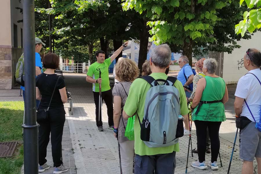 Marcha nórdica artikulua