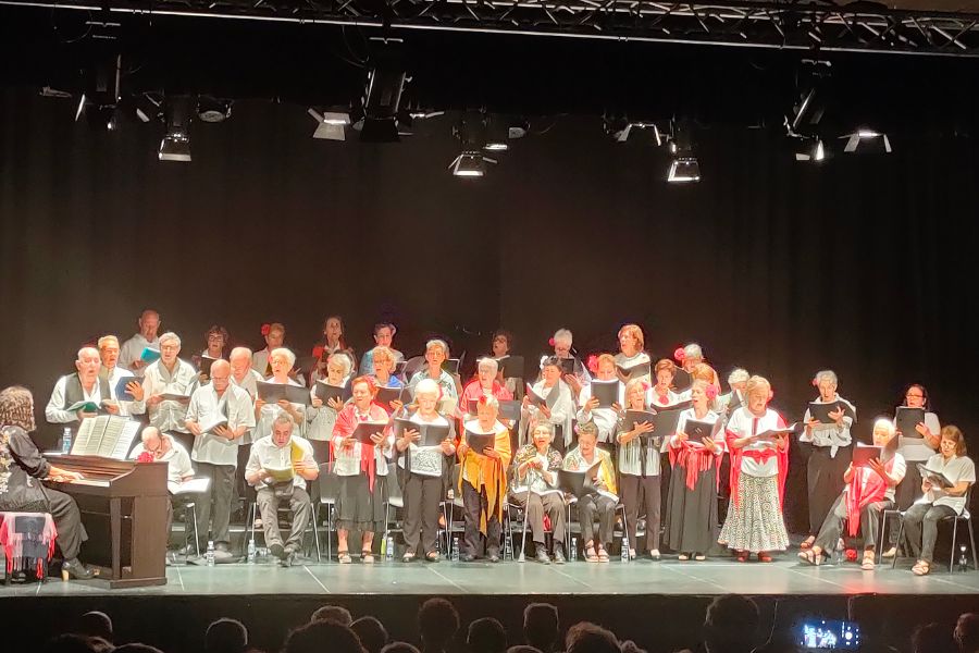 Zarzuela actuación