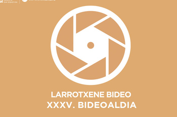 Bideoaldia zinemaldian
