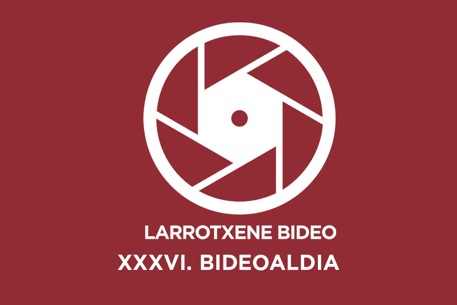 Bideoaldia zinemaldian