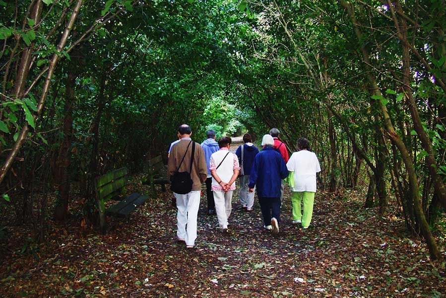 Grupo de personas paseando por un parque