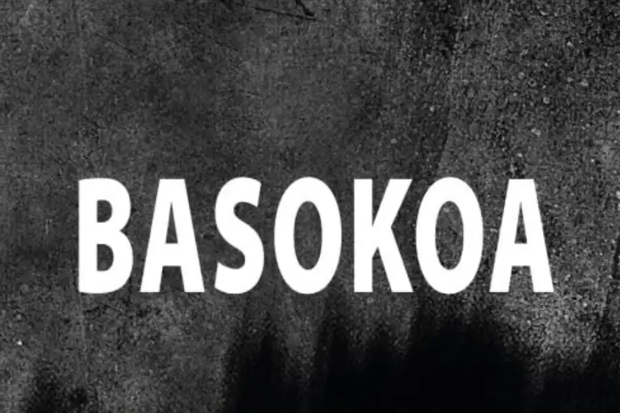 Portada del libro Basokoa de Izaskun Gracia