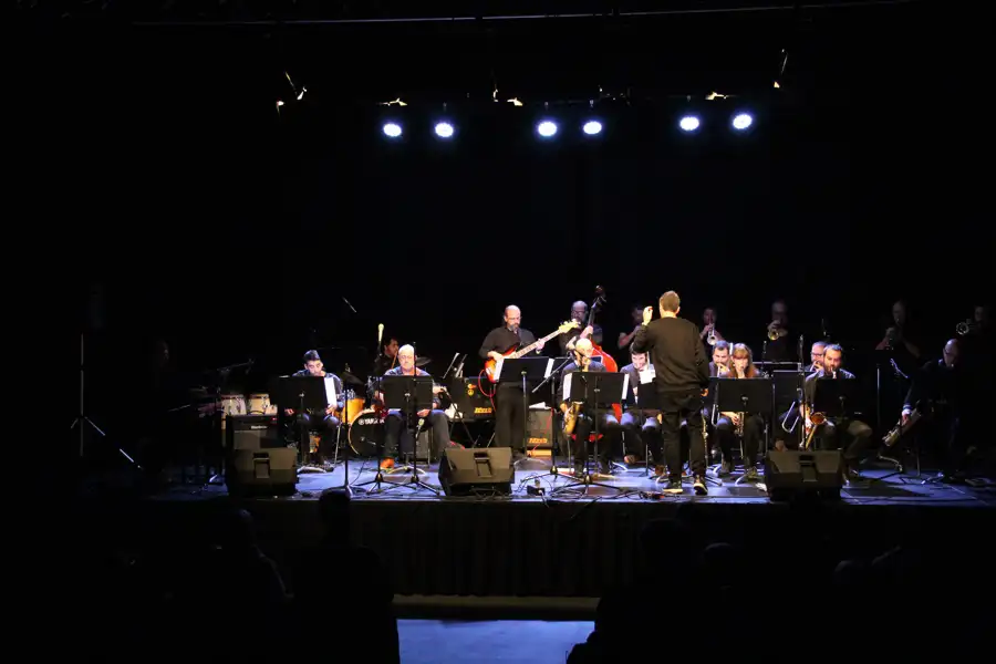 Imagen de una actuacion de Big Band