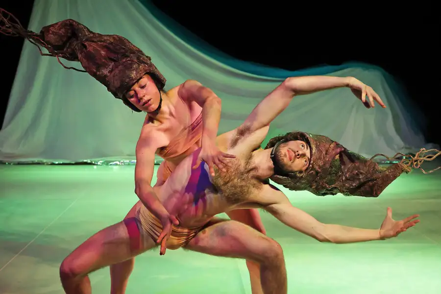 bi dantzari