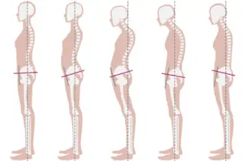  cinco siluetas de cuerpos humanos en perfil, en diferentes posturas.