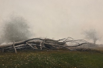 El tiempo vuela. Obra de Jesús Mansé