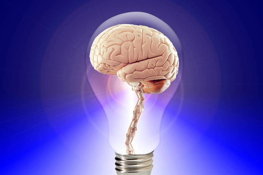 Imagen de un cerebro dentro de una bombilla