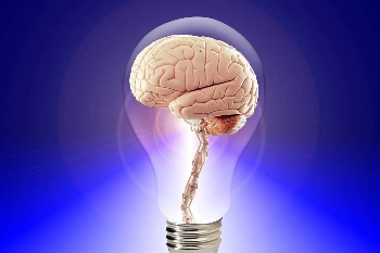 Imagen de un cerebro dentro de una bombilla