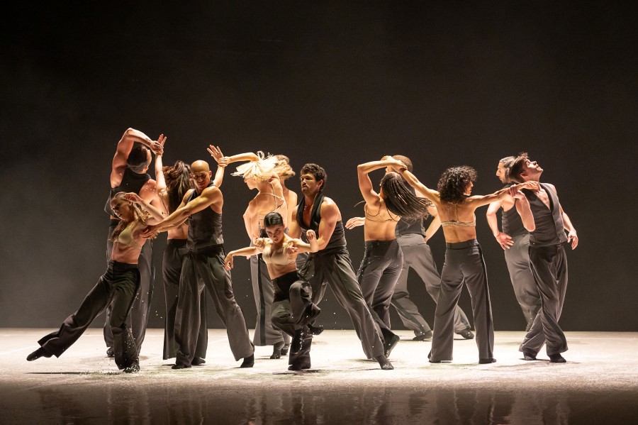 ©Rolando Paolo Guerzoni